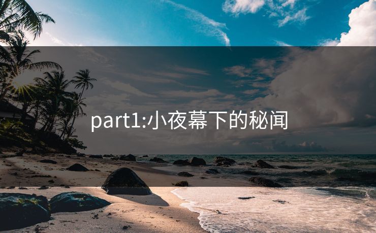 part1:小夜幕下的秘闻