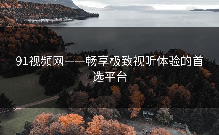 91视频网——畅享极致视听体验的首选平台