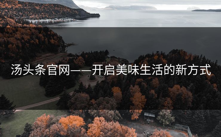 汤头条官网——开启美味生活的新方式