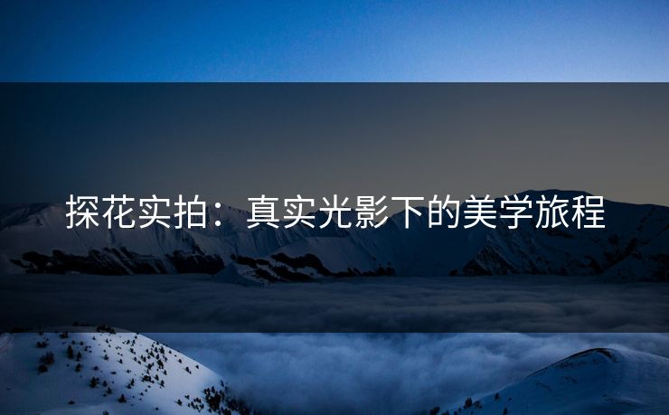 探花实拍：真实光影下的美学旅程