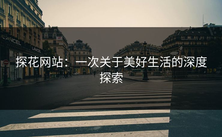 探花网站：一次关于美好生活的深度探索