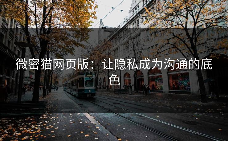 微密猫网页版：让隐私成为沟通的底色