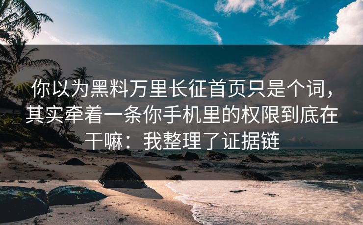 你以为黑料万里长征首页只是个词，其实牵着一条你手机里的权限到底在干嘛：我整理了证据链